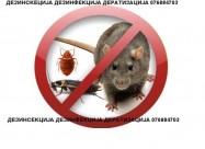 Kvalitetna Dezinsekcija Dezinfekcija Deratizacija 