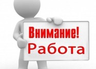 Barame Zeni Za Dopolnitelna Rabota