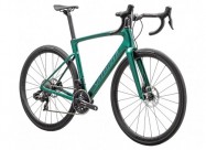 2024 Specialized Roubaix Sl8 Pro Road Bike (gun2bi